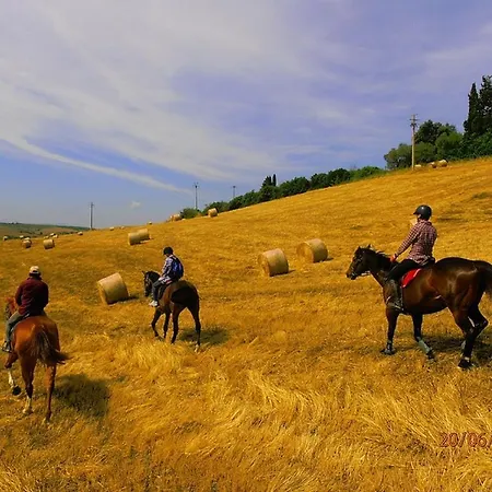 Farm stay Le Piazze *