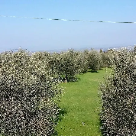 Le Piazze Farm stay