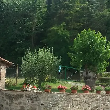 Le Piazze Siena
