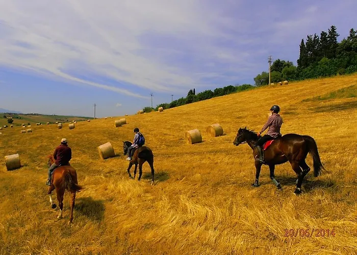 팜스테이 Le Piazze *