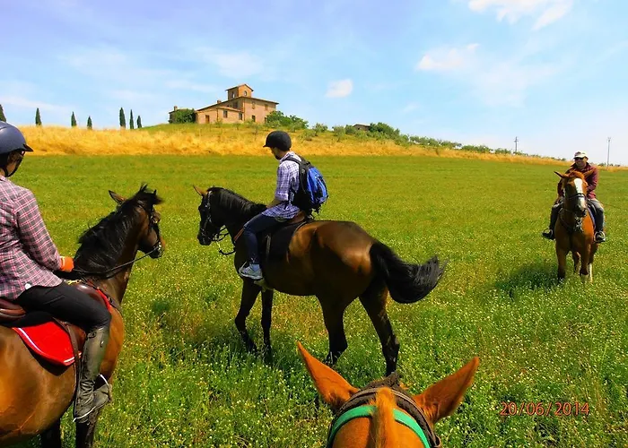 Le Piazze * 시에나