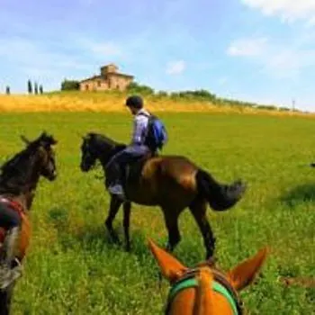 팜스테이 Le Piazze